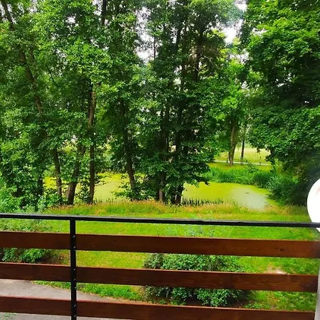 Strzeszynek - Wypoczynek